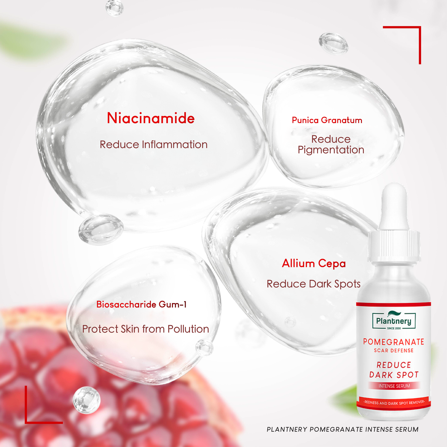 Plantnery Pomegranate Intense Serum